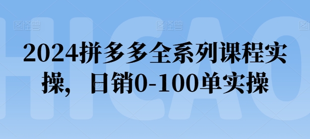 2024拼多多全系列课程实操，日销0-100单实操【必看】-副业城