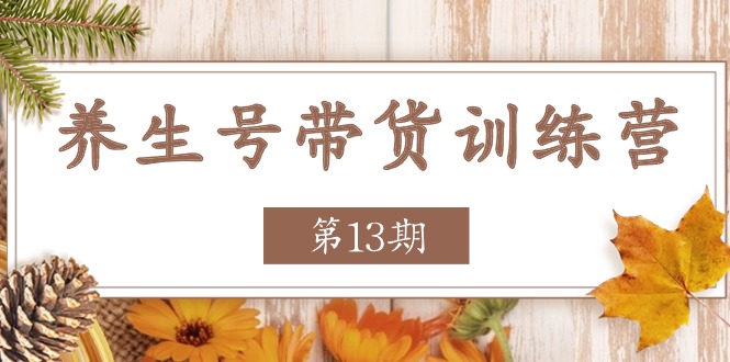 （11275期）养生号-带货训练营【第13期】收益更稳定的玩法，让你带货收益爆炸-副业城