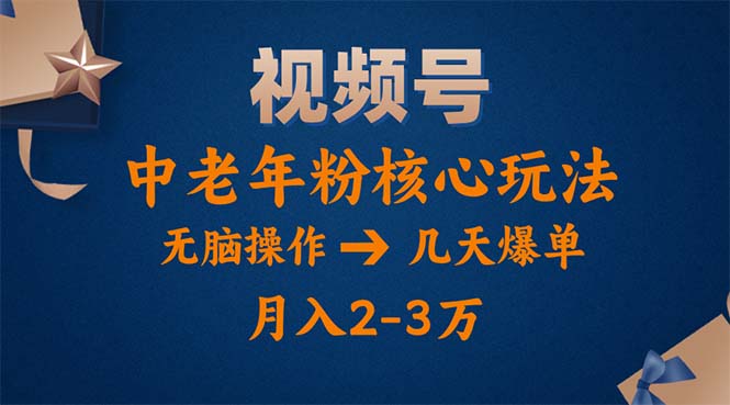 （11288期）视频号火爆玩法，高端中老年粉核心打法，无脑操作，一天十分钟，月入两万-副业城