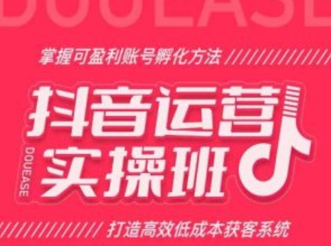 抖音运营实操班，掌握可盈利账号孵化方法，打造高效低成本获客系统-副业城