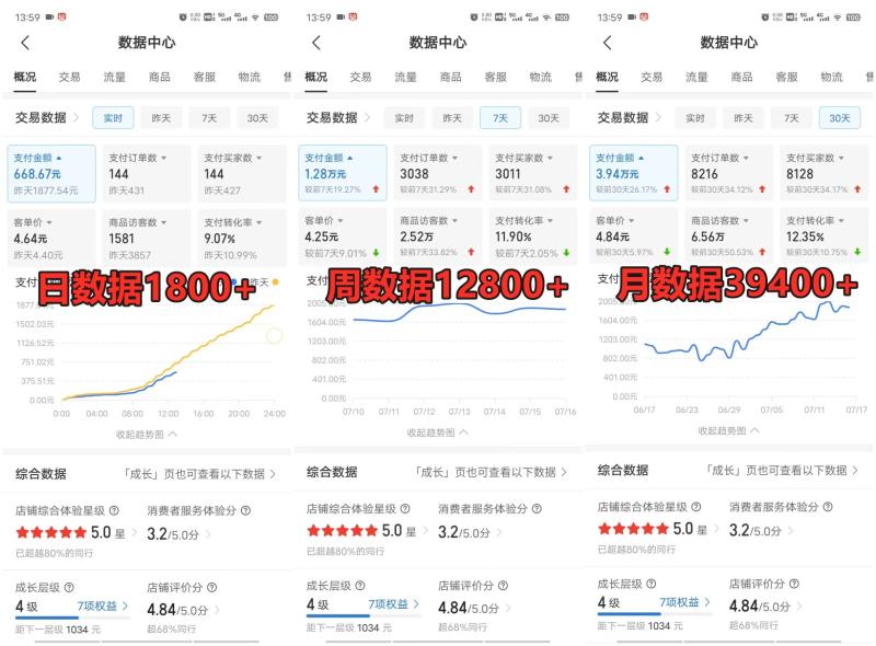 图片[3]-拼多多虚拟电商训练营月入50000+你也行，暴利稳定长久，副业首选-副业城