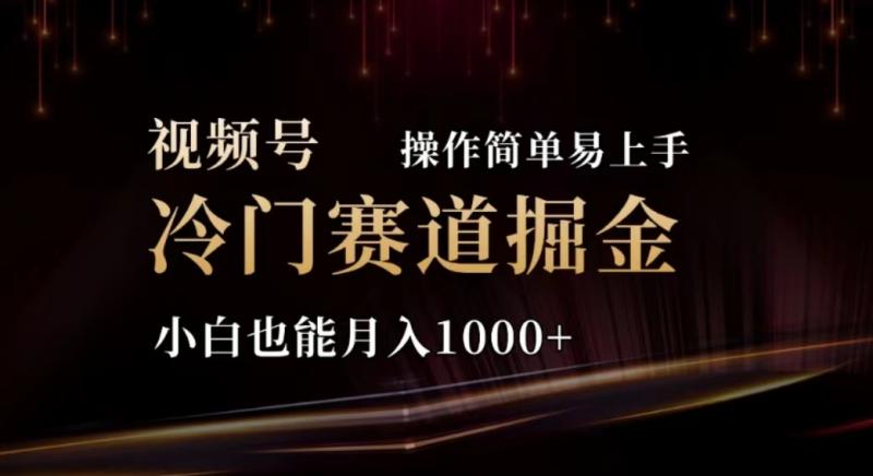 （11378期）2024视频号冷门赛道掘金，操作简单轻松上手，小白也能月入1000+-副业城