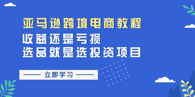 （11432期）亚马逊跨境电商教程：收益还是亏损！选品就是选投资项目-副业城