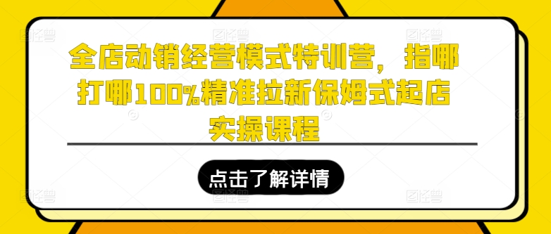 全店动销经营模式特训营，指哪打哪100%精准拉新保姆式起店实操课程-副业城