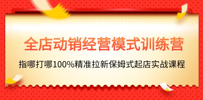 （11460期）全店动销-经营模式训练营，指哪打哪100%精准拉新保姆式起店实战课程-副业城