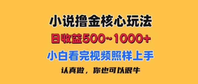 （11461期）小说撸金核心玩法，日收益500-1000+，小白看完照样上手，0成本有手就行-副业城