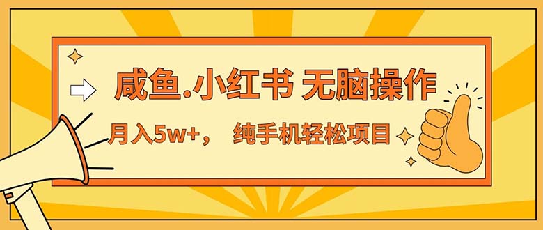 （11524期）2024最赚钱的项目，咸鱼，小红书无脑操作，每单利润500+，轻松月入5万+…-副业城