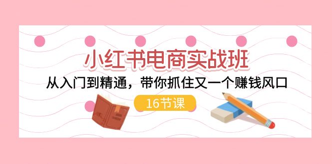 （11533期）小红书电商实战班，从入门到精通，带你抓住又一个赚钱风口（16节）-副业城