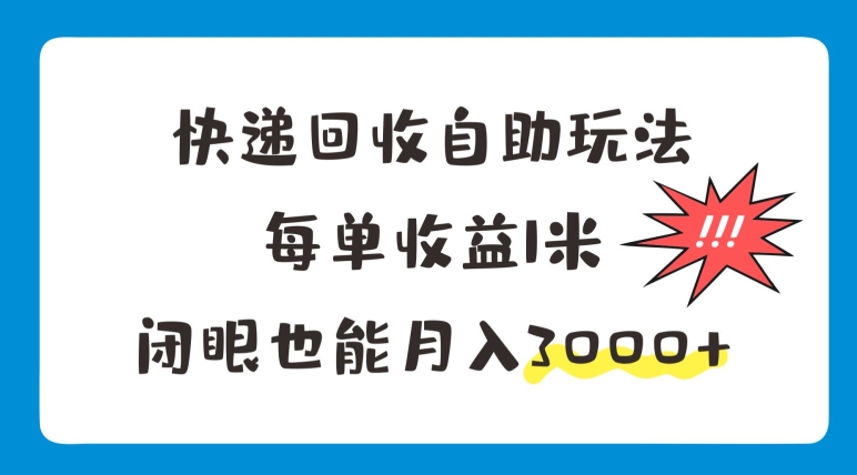 快递回收自助玩法，每单收益1米，闭眼也能月入3000+-副业城