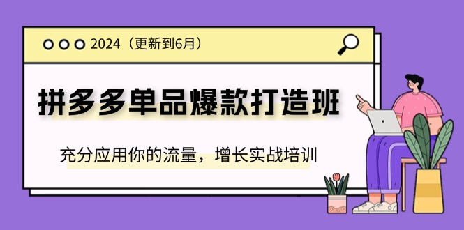 2024拼多多单品爆款打造班，充分应用你的流量，增长实战培训(更新6月)-副业城