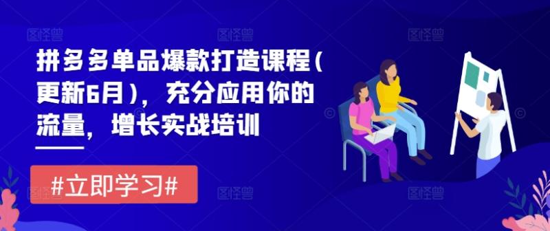 拼多多单品爆款打造课程(更新6月)，充分应用你的流量，增长实战培训-副业城