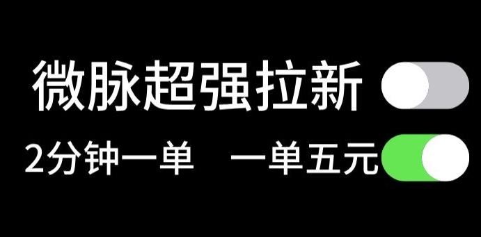 微脉无脑拉新，每单5块钱，轻松日入三位数-副业城