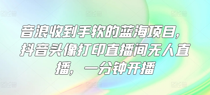 音浪收到手软的蓝海项目，抖音头像打印直播间无人直播，一分钟开播-副业城