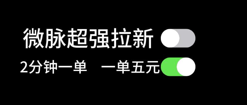 （11580期）微脉超强拉新， 两分钟1单， 一单利润5块，适合小白-副业城