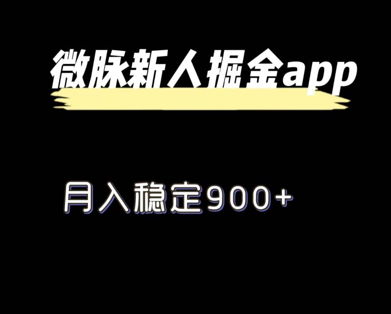 最新微脉长久项目，拉新掘金，月入稳定900+-副业城