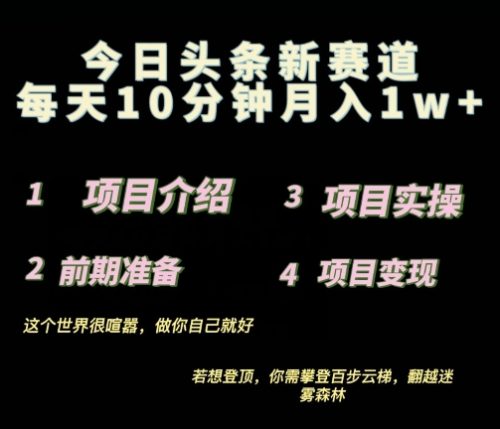 2024最新今日头条小赛道,0投入易上手-副业城
