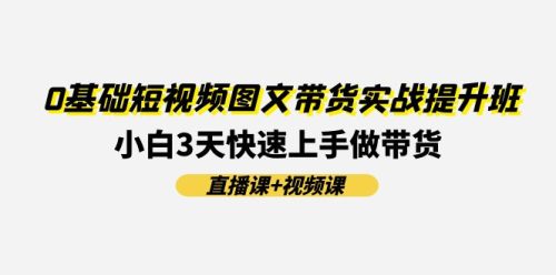 0基础短视频图文带货实战提升班,小白3天快速上手做带货(直播课+视频课)-副业城