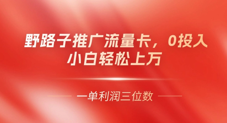 野路子推广流量卡，一单利润上百，0投入，小白轻松上万-副业城