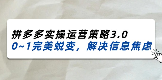 2024-2025拼多多实操运营策略3.0，0~1完美蜕变，解决信息焦虑（38节）-副业城