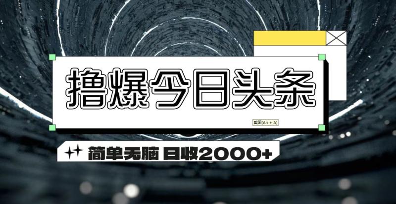 （11665期）撸爆今日头条 简单无脑操作 日收2000+-副业城