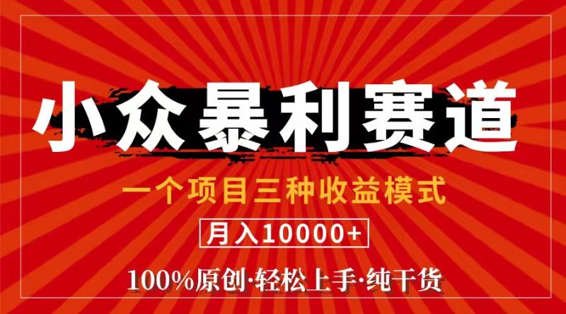 （11695期）视频号【中老年粉深信不疑】小众赛道 100%原创 手把手教学 新号3天收益…-副业城