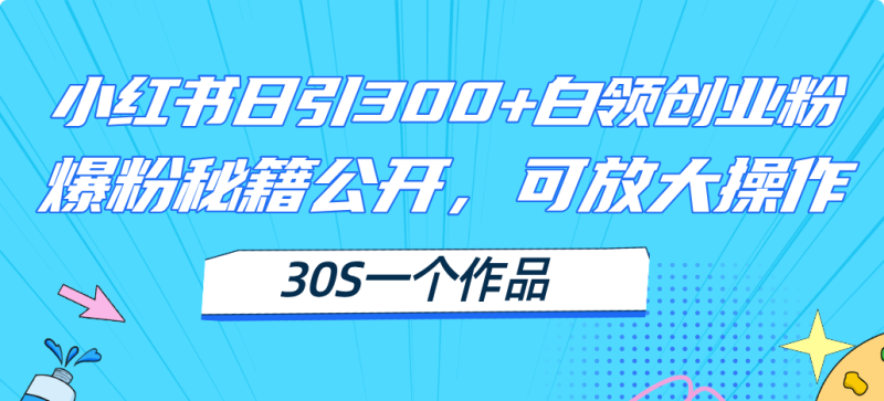 （11692期）小红书日引300+高质白领创业粉，可放大操作，爆粉秘籍！30s一个作品-副业城