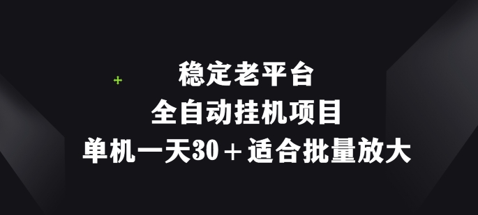 稳定老平台，全自动挂机项目，单机一天30+适合批量放大-副业城