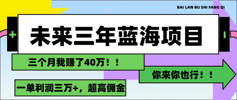 （11716期）未来三年，蓝海赛道，月入3万+-副业城