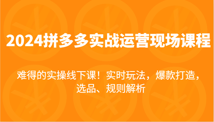 2024拼多多实战运营现场课，实时玩法，爆款打造，选品、规则解析，难得的实操线下课！-副业城