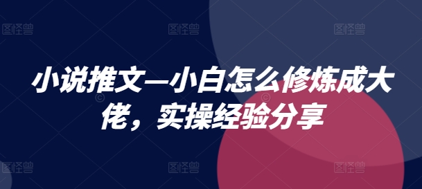 小说推文—小白怎么修炼成大佬，实操经验分享-副业城