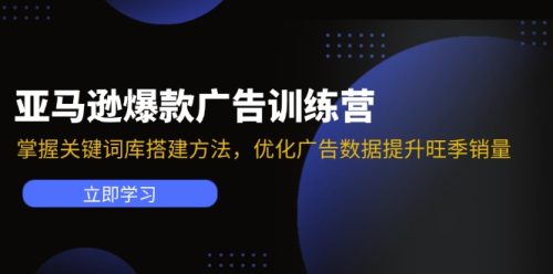 （11858期）亚马逊爆款广告训练营：掌握关键词库搭建方法，优化广告数据提升旺季销量-副业城