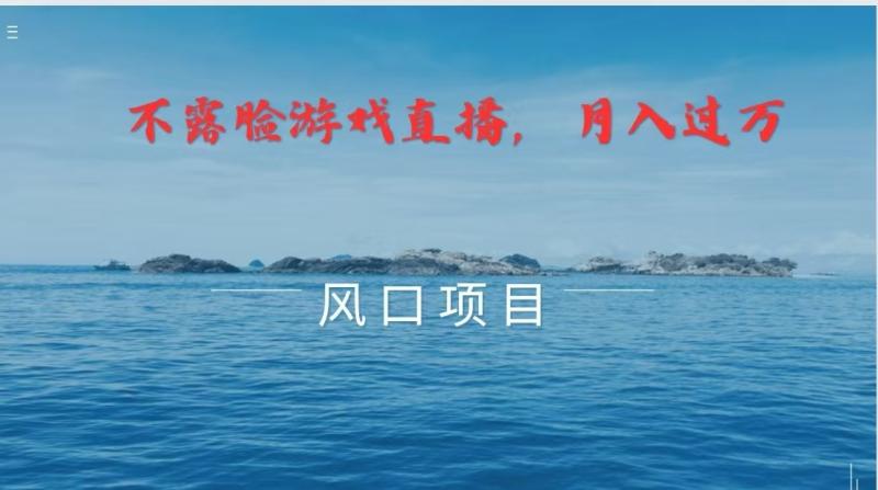 不露脸不出镜，玩转找茬游戏，普通人实现月入过万的好项目-副业城
