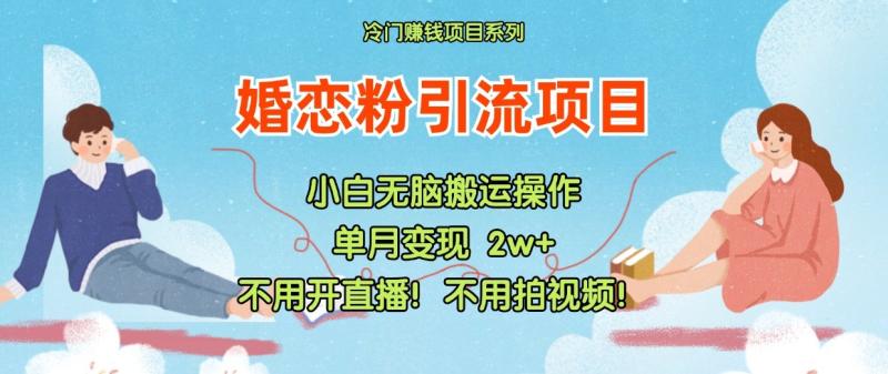 小红书婚恋粉引流，不用开直播！不用拍视频！不用做交付-副业城