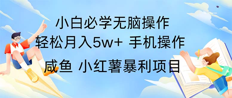 （11953期）2024热门暴利手机操作项目，简单无脑操作，每单利润最少500-副业城