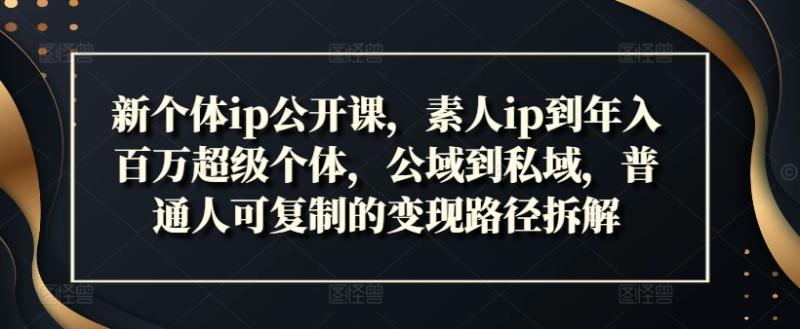 新个体ip公开课，素人ip到年入百万超级个体，公域到私域，普通人可复制的变现路径拆解-副业城