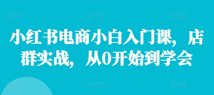 小红书电商小白入门课，店群实战，从0开始到学会-副业城