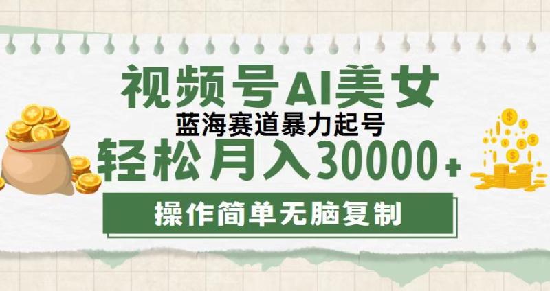 （12087期）视频号AI美女跳舞，轻松月入30000+，蓝海赛道，流量池巨大，起号猛，无…-副业城