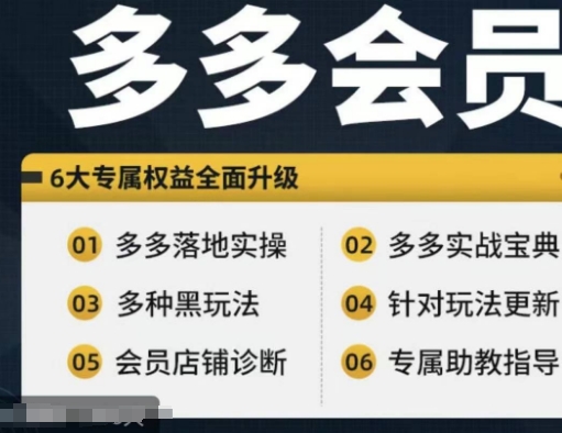 拼多多会员，拼多多实战宝典+实战落地实操，从新手到高阶内容全面覆盖-副业城