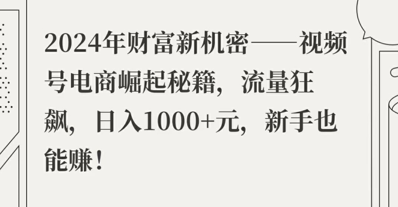 2024年财富新机密——视频号电商崛起秘籍，流量狂飙，日入1k元，新手也能赚-副业城