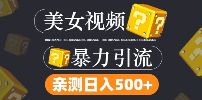 搬运tk美女视频全网分发，日引s粉300+，轻松变现，不限流量不封号【揭秘】-副业城