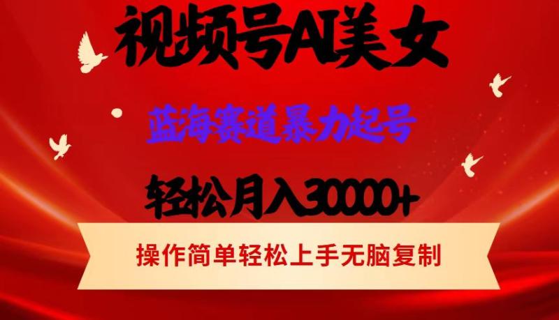 （12178期）视频号AI美女跳舞，轻松月入30000+，蓝海赛道，流量池巨大，起号猛，当…-副业城