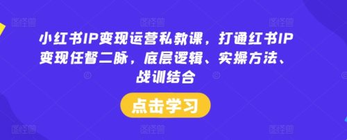 小红书IP变现运营私教课,打通红书IP变现任督二脉,底层逻辑、实操方法、战训结合-副业城