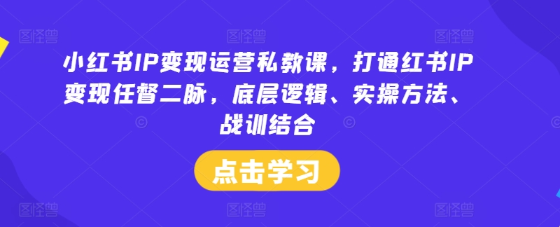 小红书IP变现运营私教课，打通红书IP变现任督二脉，底层逻辑、实操方法、战训结合-副业城