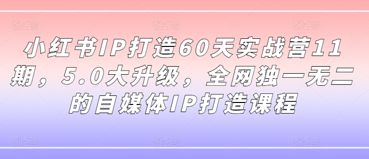 小红书IP打造60天实战营11期，5.0大升级，全网独一无二的自媒体IP打造课程-副业城