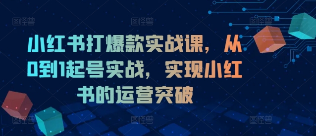 小红书打爆款实战课，从0到1起号实战，实现小红书的运营突破-副业城