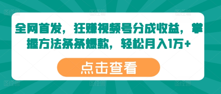 全网首发，狂赚视频号分成收益，掌握方法条条爆款，轻松月入1万+-副业城