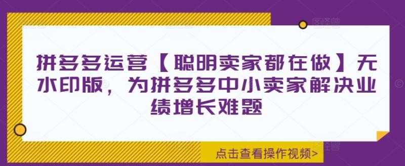 拼多多运营【聪明卖家都在做】无水印版，为拼多多中小卖家解决业绩增长难题-副业城