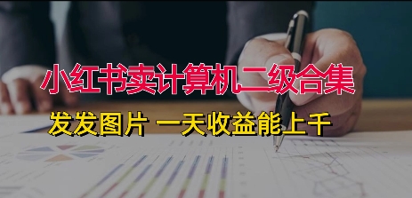小红书卖计算机二级合集，发发图片 一天收益能上千-副业城