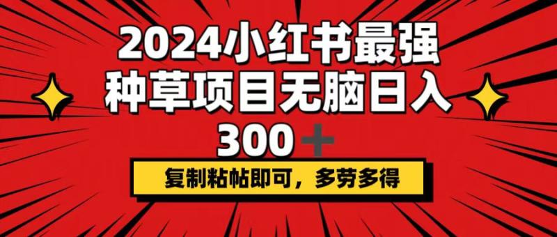 （12336期）2024小红书最强种草项目，无脑日入300+，复制粘帖即可，多劳多得-副业城