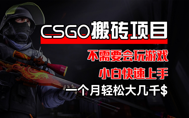 （12332期）CSGO 装备搬砖项目，操作简单，不需要会玩游戏，小白也能快速上手，一个月轻松大几千$-副业城